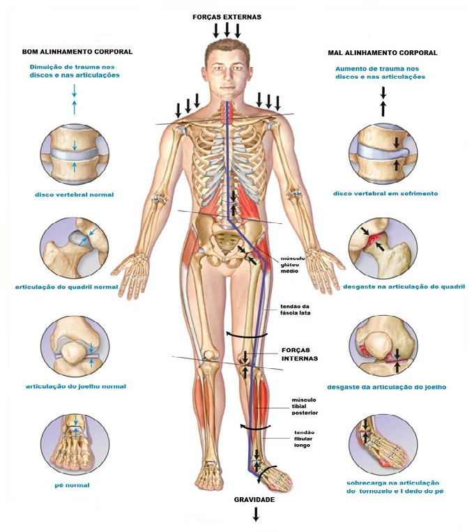 10628051_551538688311393_2995796568553014192_n